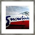 Snowbirds 2 Framed Print