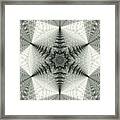 Snowflake Kaleidoscope Iii Framed Print