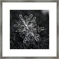 Snowflake Photo - January 18 2013 Grey Colors Framed Print