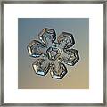 Snowflake Photo - Massive Gold Framed Print