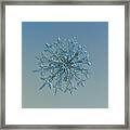 Snowflake Photo - Twelve Months Framed Print