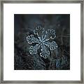 Snowflake Photo - Vega Framed Print