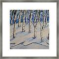 Snowy Birch Trees Framed Print