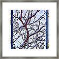 Snowy Branches Trio - Triptych Framed Print
