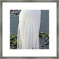 Great Egret Wedding Gown Framed Print