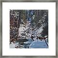 Snowy Forest Stream Framed Print