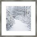 Snowy Path Framed Print