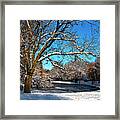 Snowy Pond Framed Print