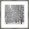 Snowy Treeline Framed Print