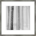 Snowy Trees Framed Print