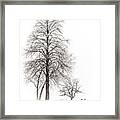 Snowy Trees Framed Print