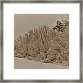 Snowy White Limbs With Zeke Filter Framed Print