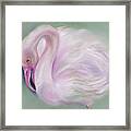 Soft Pink Flamingo Framed Print