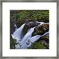 Sol Duc Falls In Olympic National Park Framed Print