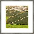 Solar Panels Framed Print