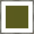 Solid Army Green Framed Print