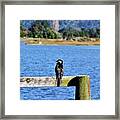 Solitude #1 Framed Print