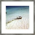 Solitude Framed Print