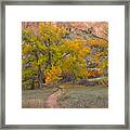 Solitude On A Winding Path Framed Print