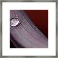 Solo Water Droplet Framed Print
