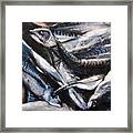 Something Fishy Framed Print