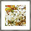 Something Magical About Spring Framed Print