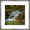Sonoma Valley Creek Framed Print