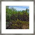 Sonoran Blend H1820 Framed Print