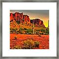 Sonoran Desert Framed Print