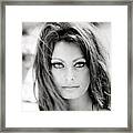 Sophia Loren Framed Print