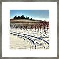 Soter Vineyard Winter Framed Print