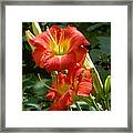 Sound The Trumpet Red Framed Print