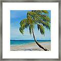 South Beach Palm Framed Print