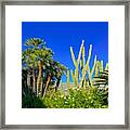 Southern France Beauty Framed Print