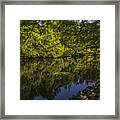 Southern Still Waters Framed Print