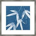 Spa Bamboo 1-art By Linda Woods Framed Print