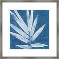 Spa Bamboo 2- Art By Linda Woods Framed Print