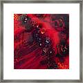 Space Poppies Framed Print