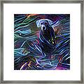 Spacey Lacy Framed Print