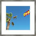 Spanish Flag And Palm Tree In The Blue Sky Framed Print