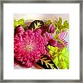 Spanish Flowers Framed Print