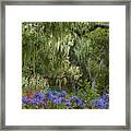 Spanish Moss And Alliums Framed Print