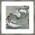 Sparrows On Snowy Pine Framed Print