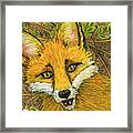 Speaking Fox Framed Print