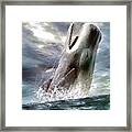 Sperm Whale Framed Print
