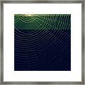 Spider Sunset 2 Framed Print