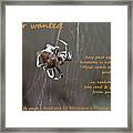 Spider Wanted Framed Print