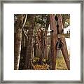 Spider's Viewpoint Framed Print