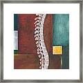 Spinal Column Framed Print