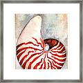 Spiral Nautilus Framed Print